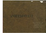 Andersonville by John W. Elarton