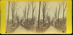 Broadway from State Street, Bangor, ca. 1869 by Trask & Dole
