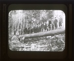 Maine 085. Big Timber by Leyland Whipple