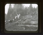 Maine 086. Lumbering by Leyland Whipple