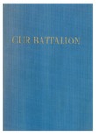Our battalion: 89th tank destroyer battalion history
