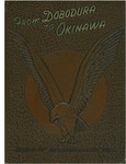 From Dobodura to Okinawa: history of 308th Bombardment Wing by Robert R. Herring